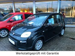 Schwarz Neu 2024 Fiat Panda Kleinwagen | 13.990 € (Fairer Preis)
