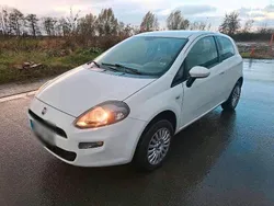 Weiß Gebraucht 2012 Fiat Punto Kleinwagen | 3.250 € (Teuer)