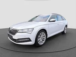 Weiss Gebraucht 2024 Skoda Superb Ambition Kombi | 34.949 € (Guter Preis)