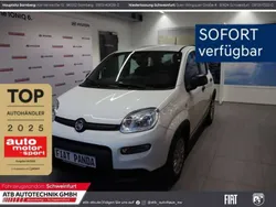 Weiss Neu 2024 Fiat Panda Kleinwagen | 16.290 €