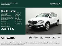 Weiß Gebraucht 2024 Skoda Karoq Selection SUV | 26.890 € (Guter Preis)