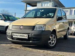 Gelb Gebraucht 2009 Fiat Panda Active Kleinwagen | 2.999 € (Etwas zu teuer)