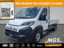 Ducato weiß Neu 2025 Fiat Ducato Van | 33.558 € (Fairer Preis)