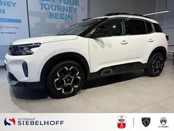 Polar weiß Gebraucht 2023 Citroën C5 Aircross PureTech SUV | 24.230 € (Fairer Preis)