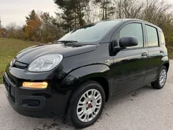 Schwarz Gebraucht 2020 Fiat Panda Easy Kleinwagen | 8.650 € (Fairer Preis)