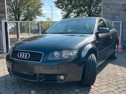 Braun Gebraucht 2003 Audi A3 Limousine | 2.950 €