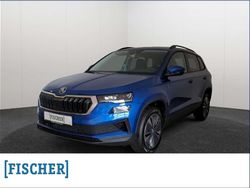Blau Gebraucht 2025 Skoda Karoq Tour SUV | 43.980 €