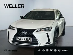 Weiss Gebraucht 2022 Lexus UX 250h SUV | 26.990 € (Guter Preis)