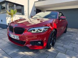 Rot Gebraucht 2019 BMW 230 M Sport Cabrio | 27.480 € (Etwas zu teuer)