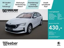 Weiß Gebraucht 2024 Skoda Octavia Selection Kombi | 29.480 € (Fairer Preis)