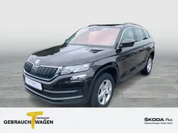 Braun Gebraucht 2020 Skoda Kodiaq Ambition SUV | 24.940 € (Guter Preis)