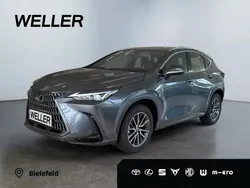 Grau Gebraucht 2024 Lexus NX350h SUV | 44.480 €
