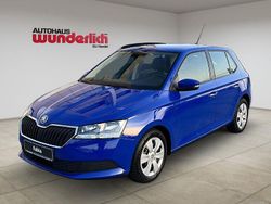 Blau Gebraucht 2021 Skoda Fabia Cool Plus Kleinwagen | 11.490 € (Guter Preis)