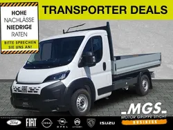 Ducato weiß Neu 2025 Fiat Ducato Van | 35.938 € (Teuer)
