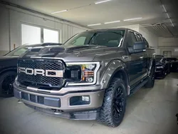 Braun Gebraucht 2018 Ford F-150 Raptor Abholung | 42.491 € (Etwas zu teuer)