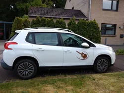 Weiß Gebraucht 2015 Peugeot 2008 Active SUV | 8.400 € (Guter Preis)