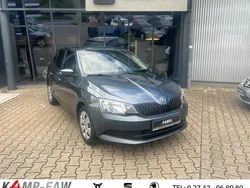 Grau Gebraucht 2016 Skoda Fabia Cool Edition Kleinwagen | 8.790 € (Etwas zu teuer)