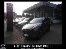 Grau Neu 2025 Mazda CX-30 Nagisa SUV | 29.990 €