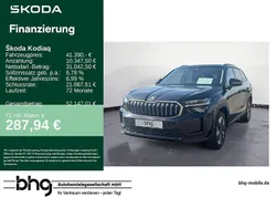 Blackmagic perleffekt Gebraucht 2024 Skoda Kodiaq Selection SUV | 41.390 € (Fairer Preis)