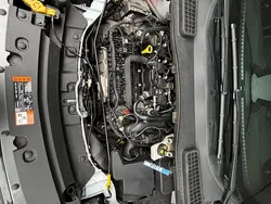 Weiß Gebraucht 2019 Ford Kuga SUV | 19.500 € (Teuer)