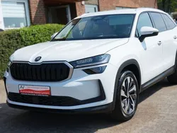 Weiß Gebraucht 2024 Skoda Kodiaq Sport SUV | 45.650 € (Guter Preis)