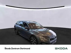 Grau Gebraucht 2022 Skoda Octavia Clever Kombi | 25.492 € (Guter Preis)