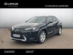 Graphite black Gebraucht 2024 Lexus UX 300h Executive Line SUV | 43.990 € (Superpreis)