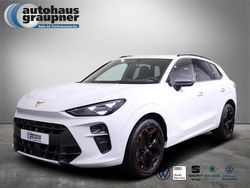 Weiss / eisweiß Gebraucht 2025 Cupra Terramar SUV | 31.888 € (Guter Preis)