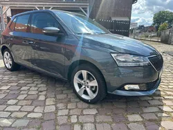 Grau Gebraucht 2019 Skoda Fabia Cool Plus Kleinwagen | 9.998 € (Guter Preis)