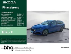 Energyblau Gebraucht 2023 Skoda Octavia Ambition Kombi | 21.950 € (Guter Preis)