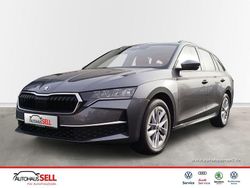 Grau Gebraucht 2024 Skoda Octavia Selection Kombi | 27.990 € (Superpreis)