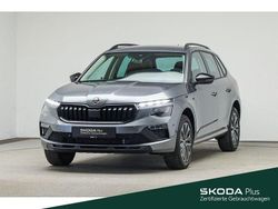 Grau Gebraucht 2025 Skoda Kamiq Tour SUV | 25.999 € (Fairer Preis)