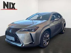 Titaniumsilber Gebraucht 2024 Lexus UX 300e Luxury Line SUV | 46.900 €