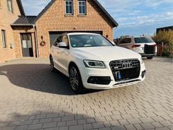 Weiß Gebraucht 2016 Audi SQ5 Competition SUV | 23.500 € (Fairer Preis)