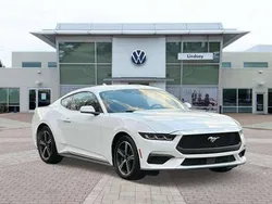 Schwarz Gebraucht 2024 Ford Mustang Coupé | 39.900 €