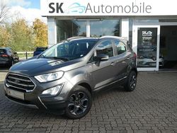 Magnetic Gebraucht 2018 Ford Ecosport Titanium SUV | 11.950 € (Fairer Preis)