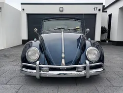 Gebraucht 1967 VW Käfer Cabrio | 50.000 €