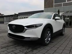 Weiß Gebraucht 2025 Mazda CX-30 Center-Line SUV | 28.900 € (Superpreis)