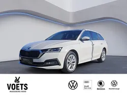 Weiß Gebraucht 2023 Skoda Octavia Style Kombi | 25.688 € (Fairer Preis)
