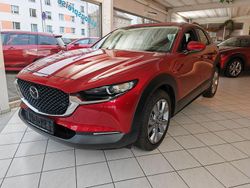 Rot Gebraucht 2019 Mazda CX-30 Selection SUV | 22.990 € (Fairer Preis)