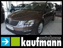 Braun Gebraucht 2017 Skoda Octavia Ambition Kombi | 15.490 € (Etwas zu teuer)