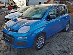 Blau Neu 2025 Fiat Panda Kleinwagen | 13.990 € (Guter Preis)