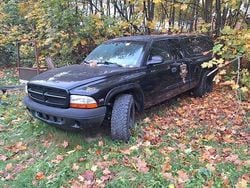 Schwarz Gebraucht 2000 Dodge Dakota Abholung | 2.500 €