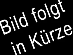Schwarz Gebraucht 2018 Skoda Kodiaq Style SUV | 22.500 € (Guter Preis)