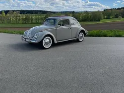 Grau Gebraucht 1965 VW Käfer | 12.500 €