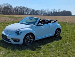 VW Beetle