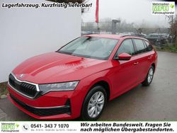 Velvetrot metallic Neu 2025 Skoda Octavia Selection Kombi | 33.890 € (Guter Preis)