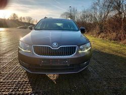 Braun Gebraucht 2014 Skoda Octavia Kombi | 9.900 € (Fairer Preis)