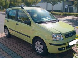 Grün Gebraucht 2003 Fiat Panda Kleinwagen | 1.999 € (Fairer Preis)