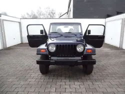 Jeep dunkelblau violett meta Gebraucht 1999 Jeep Wrangler Sport SUV | 10.000 € (Superpreis)